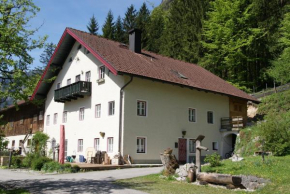  Ferienwohnung Bluntaumühle  Голлинг-На-Зальцахе